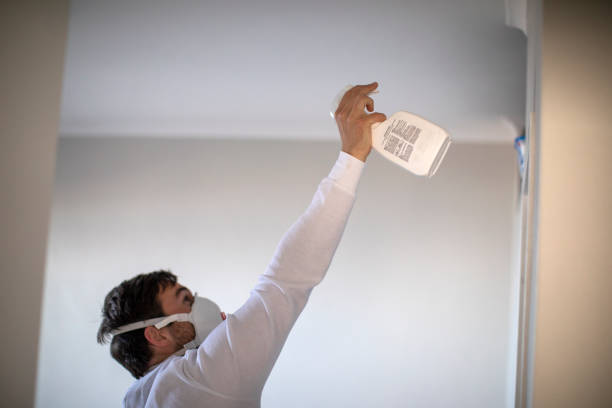 Best Mold Remediation  in Lake Morton Berrydale, WA