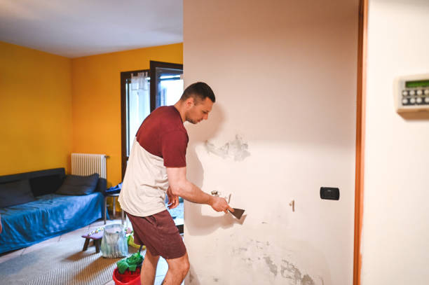 Best Mold Removal Company Near Me  in Lake Morton Berrydale, WA